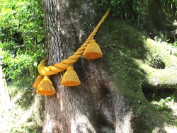 諏訪神社01-8