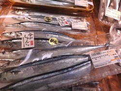 トライアル01-3