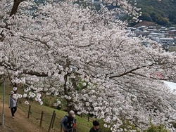 ���������01-9