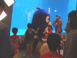 ペンギン水族館02