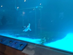 ペンギン水族館02-3