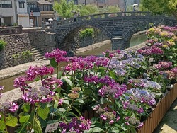 中島川01-6