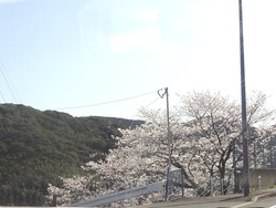 日見