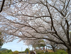 ���������01-8