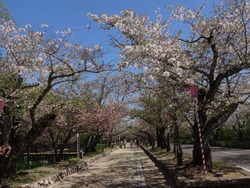 大村公園02-2