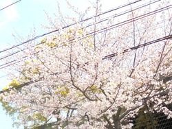 小江原02-2