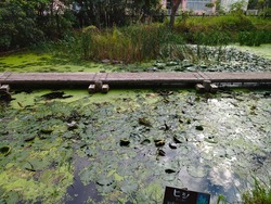 ペンギン水族館01-8