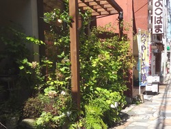 浜町02-5