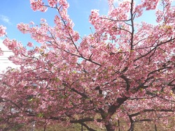 久原公園01-4