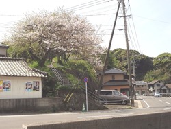 大瀬戸02-3