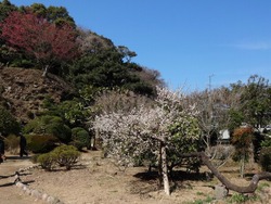 神代小路02-7