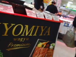 Ĺ���Ͳ�01-8