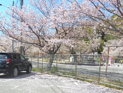 大村公園01-1