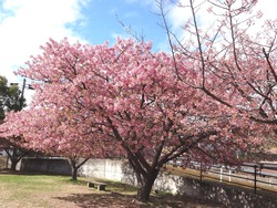 久原公園01-6