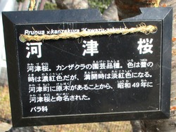 久原公園02