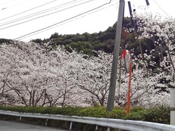 新戸町01