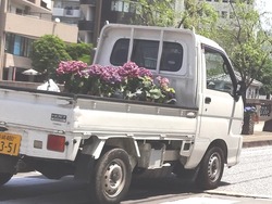 中島川01-4