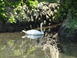 大村公園01-9