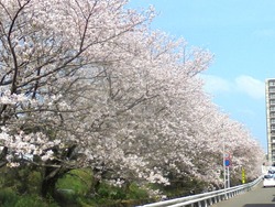 住吉02