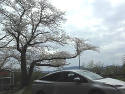 ������01-6