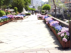 中島川01-5