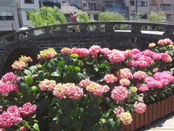 中島川01-8