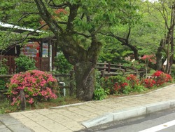 諫早公園01