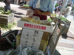 住吉03-3