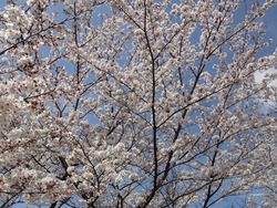 三川公園01-6