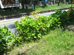 大村公園01-7