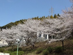 三川公園01-3