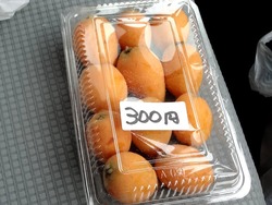 茂木01-8