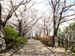 西山ダム公園01-4