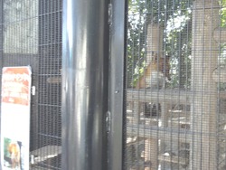 ��ˬ����01-9