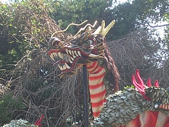 角上蛇踊02