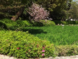 大村公園01-4