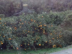 ������01-4