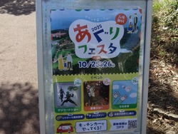 ������ε�01-2