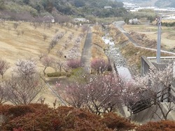 宮崎ダム公園01-2