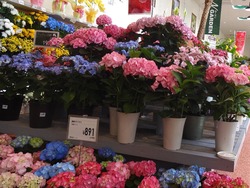 ナフコ時津店01-3