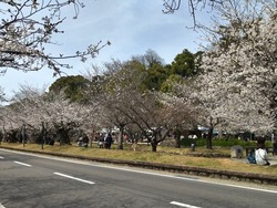 大村公園01