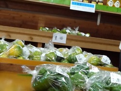 伊木力01-2