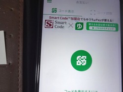 �椦����Pay01