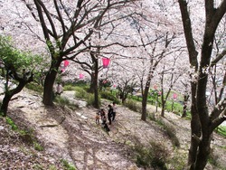 ���������02-2