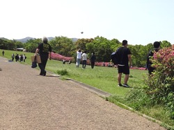 唐八景01-3