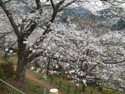 中尾城公園01-5