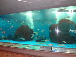 ペンギン水族館02-4