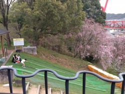 中尾城公園01-2