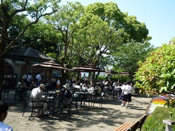 ����С���01-6