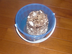 ��������02-2